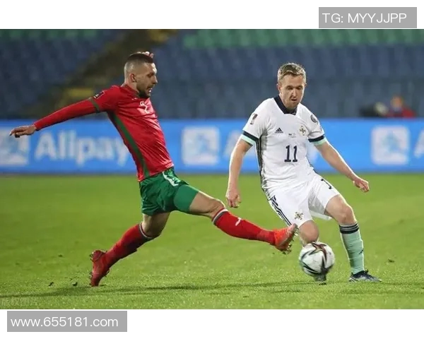 爱尔兰与保加利亚的精彩对决分析及赛前预测