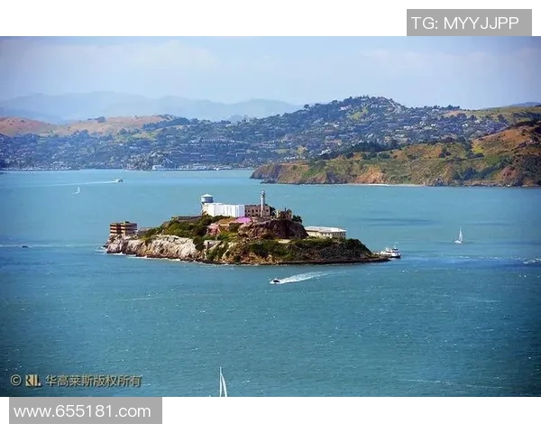 赖斯的崛起与挑战:探讨其在国际政治中的影响力与未来发展方向 赖斯的崛起与挑战:探讨其在国际政治中的影响力与未来发展方向